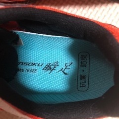 瞬足 新品 16cmの画像