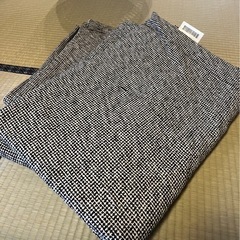 IKEA カーペット ティプヘデ 2枚セット