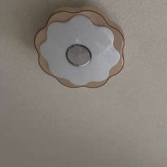 シーリングライト