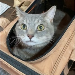 探しています‼️