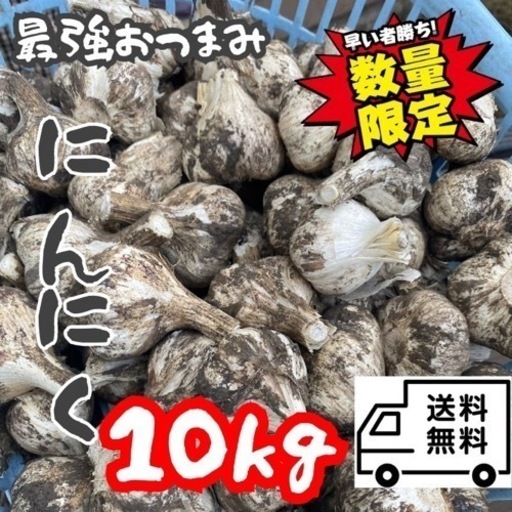 【青森県産】にんにく福地ホワイト六片　白玉王！