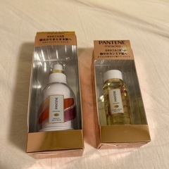 パンテーン