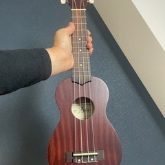 新品　ウクレレ　決まりました！
