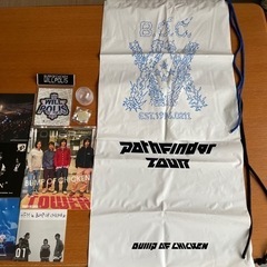 BUMP OF CHICKEN CD6枚/ワッペン、ピンバッジ他の画像