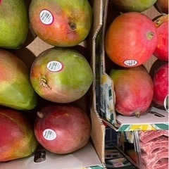 マンゴーの画像