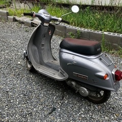 宮城県仙台市！ホンダ ジョルノ スクーター 原付 50CC ミニバイク レトロ クラシックの画像