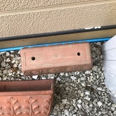 しっかりした　陶器のプランターの画像