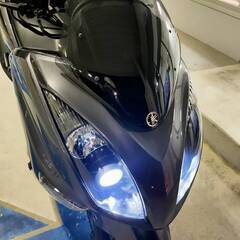 ヤマハ　マジェスティ250　4D9前期　希少ガンメタリック　最新...