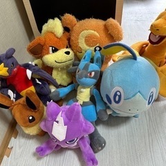 ポケモンぬいぐるみ