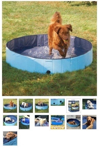 大型犬用ドッグプール　1度のみ使用