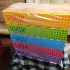 スコッティティッシュ5箱組