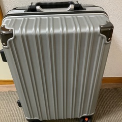 新品未使用20インチのキャリーケース