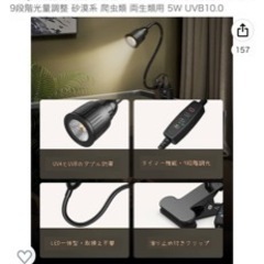バスキングライト