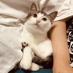 オカッパの可愛い❤️男の子3ヵ月