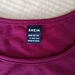 Tシャツ Lサイズの画像