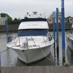 クルーザーアフト 45F FB GM550×2