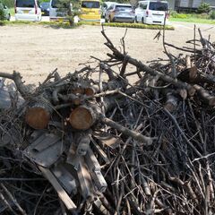 キャンプ用の薪