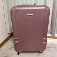 【7月まで】SPALDING ハードスーツケースの画像