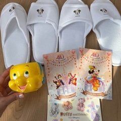 ディズニー　ミラコスタ　ミッキー　40周年　グッズ　新品未使用