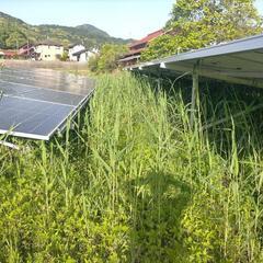 空き地、耕作放棄地、太陽光敷地等