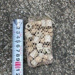 水槽、アクアリウム 用ろ材