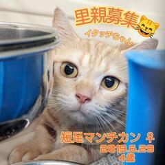 里親様決定 ｱﾘｶﾞﾄｳｺﾞｻﾞｲﾏｼﾀ!!お利口ﾁｬﾝ😽短足マ...