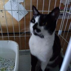 家族にしてください。