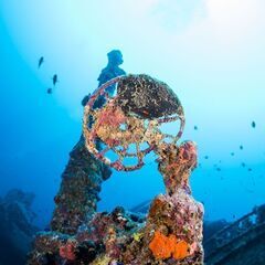 沖縄ダイビングライセンスは口コミで1位のワールドダイビングの画像