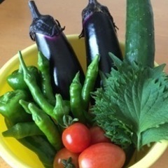 夏のお野菜詰め合わせ23