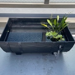 ビオトープスタートセット