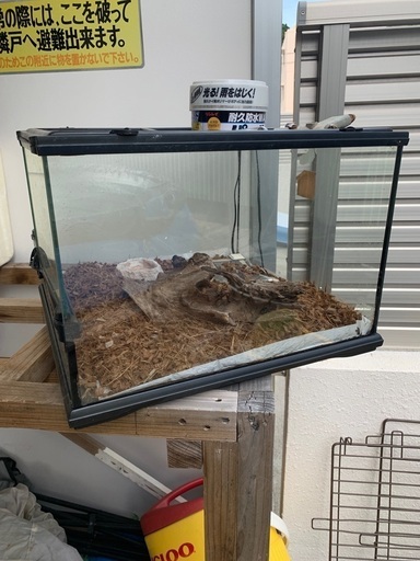 トカゲケージ売ります