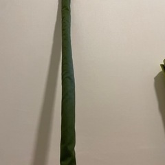 釣竿 約6mの画像