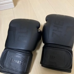 サンドバッグ＆グローブの画像