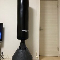 サンドバッグ＆グローブの画像