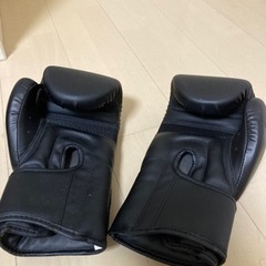サンドバッグ＆グローブの画像