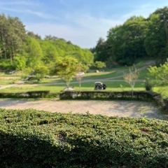 バックパックキャンプ仲間募集🏕