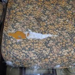 決まりました❢無料です。籐家具の応接セットの画像