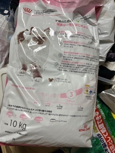 ロイヤルカナン子猫用10キロ