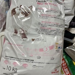 ロイヤルカナン子猫用10キロの画像