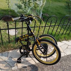 LIG SKY BLIDGE　２０インチ　軽量　折りたたみ自転車　中古　㈱オオトモ　男女兼用　の画像