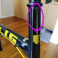 LIG SKY BLIDGE　２０インチ　軽量　折りたたみ自転車　中古　㈱オオトモ　男女兼用　の画像