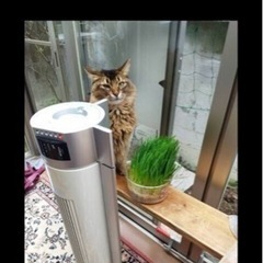 タワー型扇風機　羽根がないので赤ちゃんやペットがいても安心