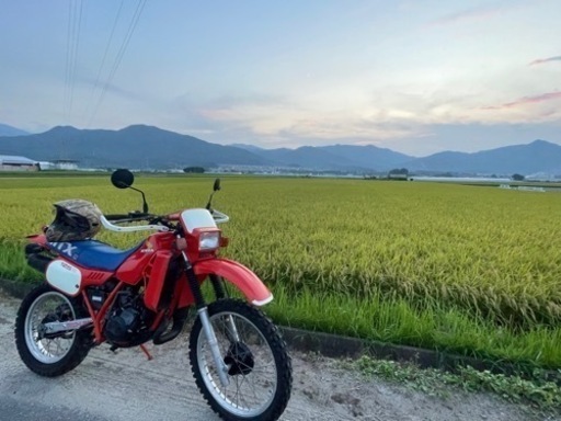 MTX125R JD05 2スト　オフロード　不動