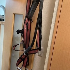 TJMのフルハーネス