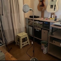 間接照明【植物育成ライト】