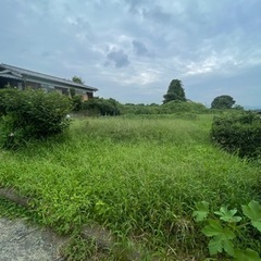 (お困りの方)草刈り、剪定、ハウス清掃、エアコン清掃など。