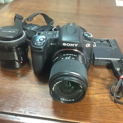 ソニα300 18~70ズーム　マグロ50mです