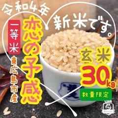 玄米30キロが届きました！ | とらちゃんゆーえん の暮らしのブログ