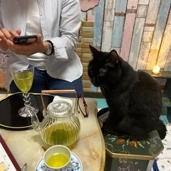 占いサロン｢夢｣