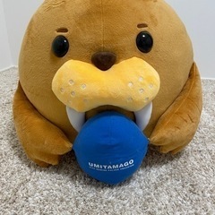 うみたまご くじ引き 1等セイウチぬいぐるみ